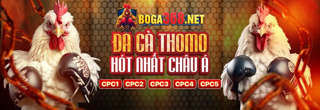 Nâng cấp hệ thống hello88